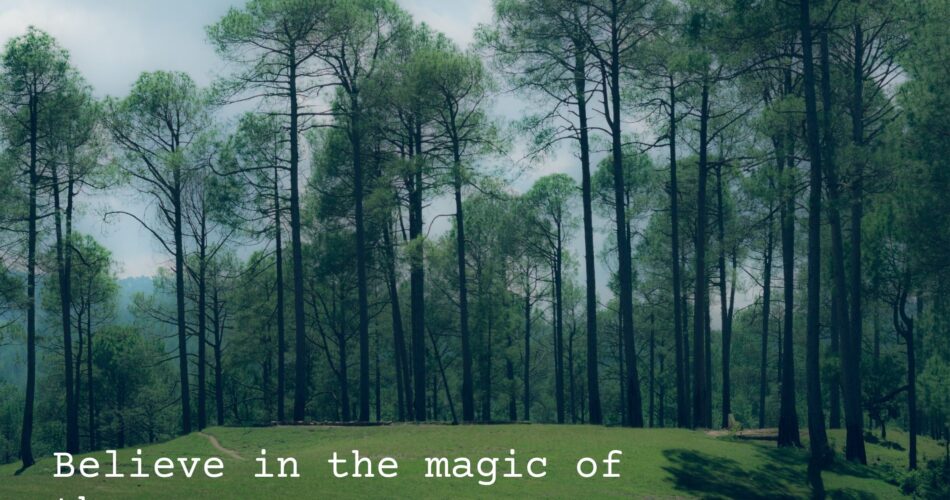 believe in the magic of the season