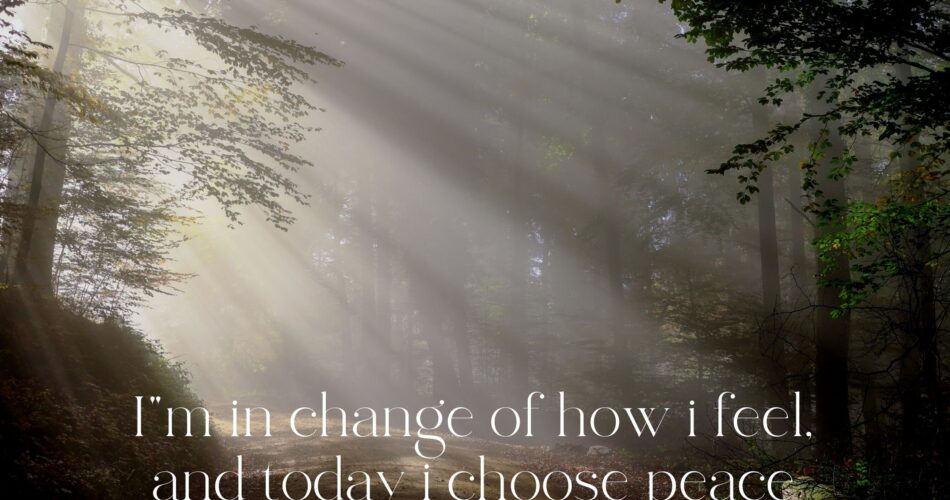 I am in change of how i feel and today i choose peace