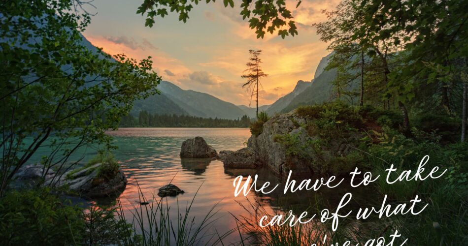 We Have to Take Care of What We’ve Got